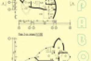 Коттедж (план 1-2 этажа)