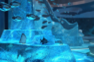 Музей воды (Телецкое озеро)