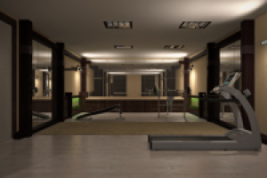 Частный спортзал (коттедж)