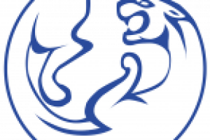 Работа 2636383