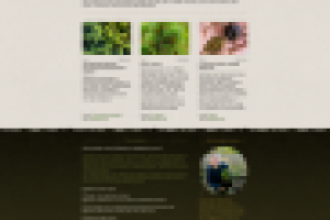 Росхвойные