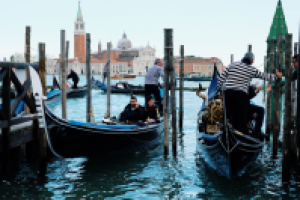 Работа 2984705