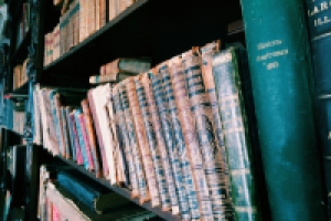 Работа 2830529