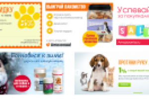 Баннеры на сайт зоомагазина