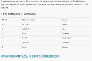 SEO- cтатьи для блога Интернет-магазина зоотоваров