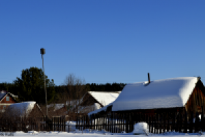 Работа 2980264