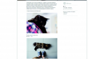 Обзорная статья про Антикафе "Котейная"