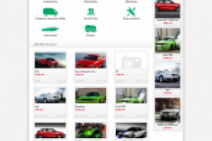 Сайт объявлений с внутренним начислением денег на счете клиента