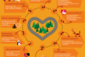 инфографика для мужского сайта