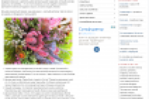 Подарок для цветовода: 7 полезных идей