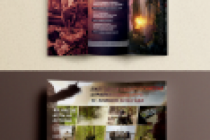 Работа 2974747