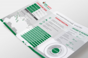 Работа 2974742