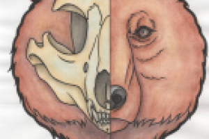 Голова медведя с черепом