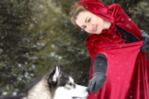 Работа 2974246