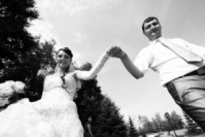 Работа 1535804