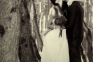 Работа 1535799