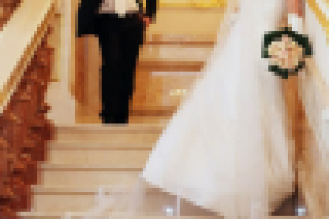 Работа 1529118