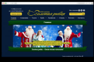 "Золотая рыбка": создание сайта