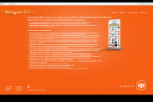 Бал «Новое Поколение»: создание сайта