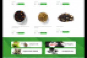 Плантация: создание интернет-магазина