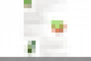 Здоровье навсегда: создание Landing Page