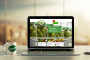 Контент сайта ТМ "Огородников"