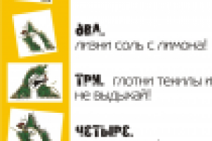 Как правильно пить текилу