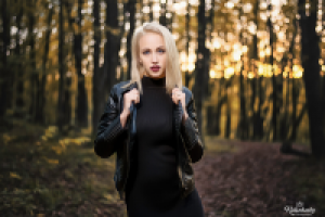 Работа 2962361