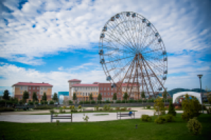 Работа 2962399