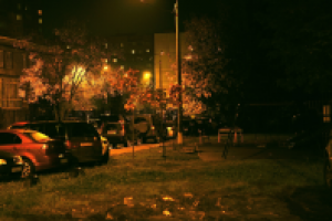 Вечер в подмосковье