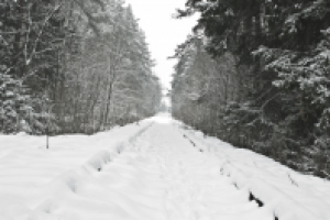 Железная дорога