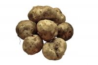 img2201272.png
