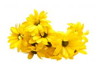 img1806144.png