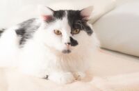img1801443.png