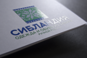 Вариант логотипа для интернет-магазина