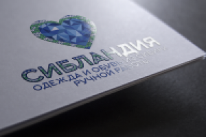 Вариант логотипа для интернет-магазина