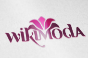 Вариант логотипа для интернет-магазина