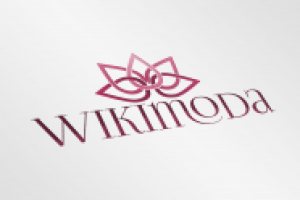 Вариант логотипа для интернет-магазина