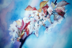 Цветущая ветка