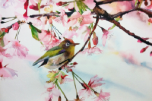 Весенний птенчик