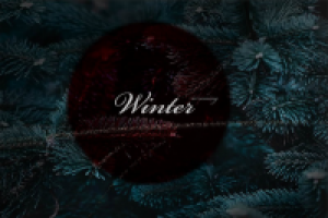 зимняя композиция