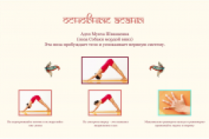 электронное издание для планшета