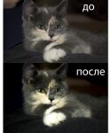img2871466.png
