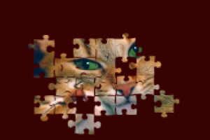 Пазл. Фотошоп