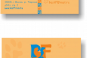 Визитка для приюта