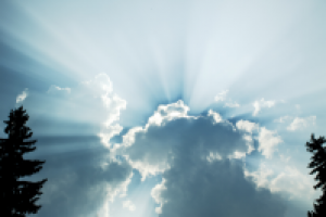 Блики солнца