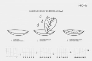 Календарь "Выжить любой ценой"
