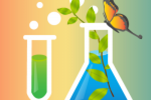 Частичка оформления призов конкурса "Химия-основа жизни"