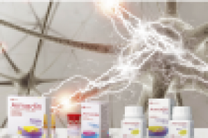 Листовка Армадин