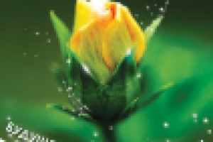 Плакат Тиенс